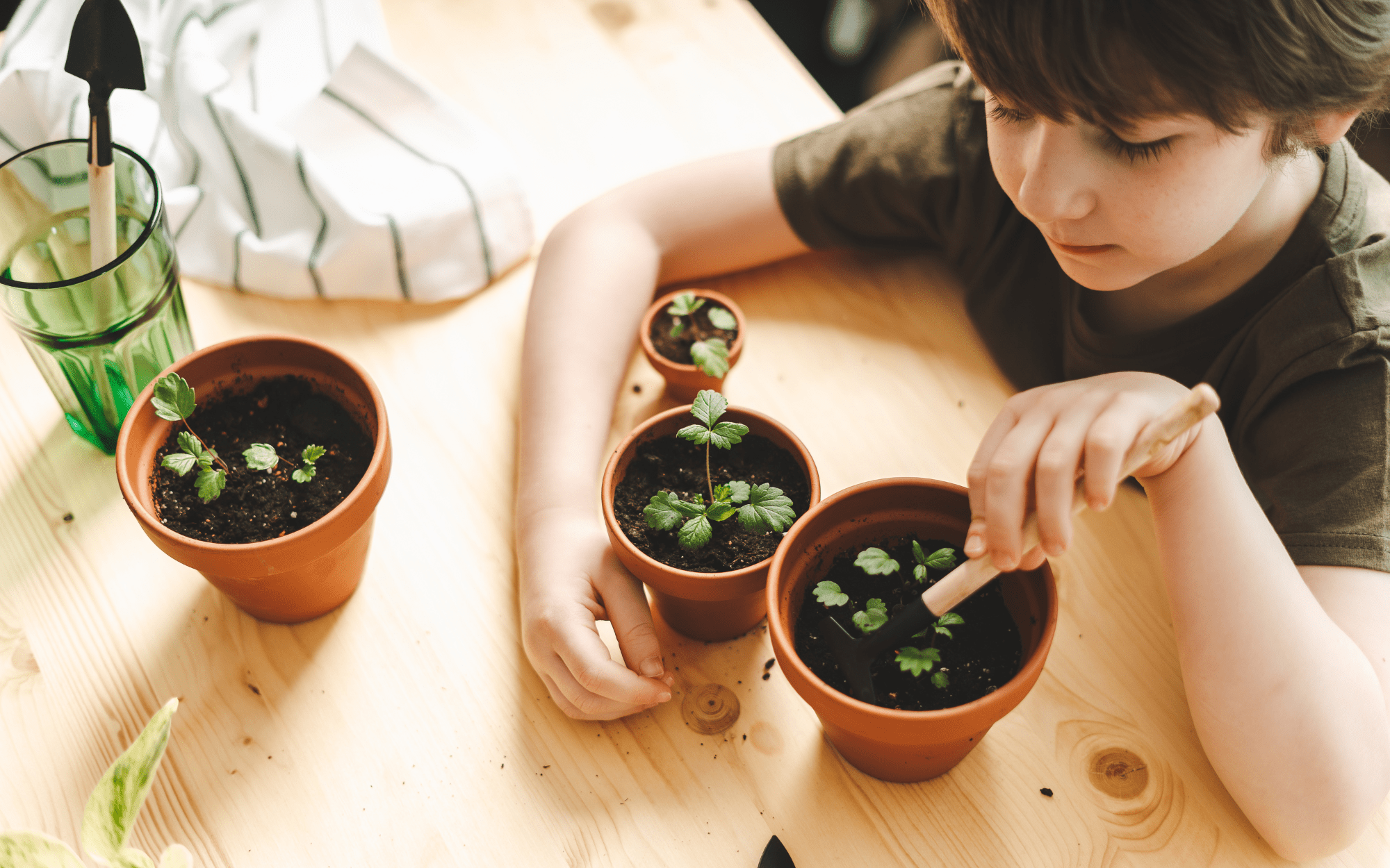 Seed Planting Sensory Activity for Children with Autism - Cultivate BHE