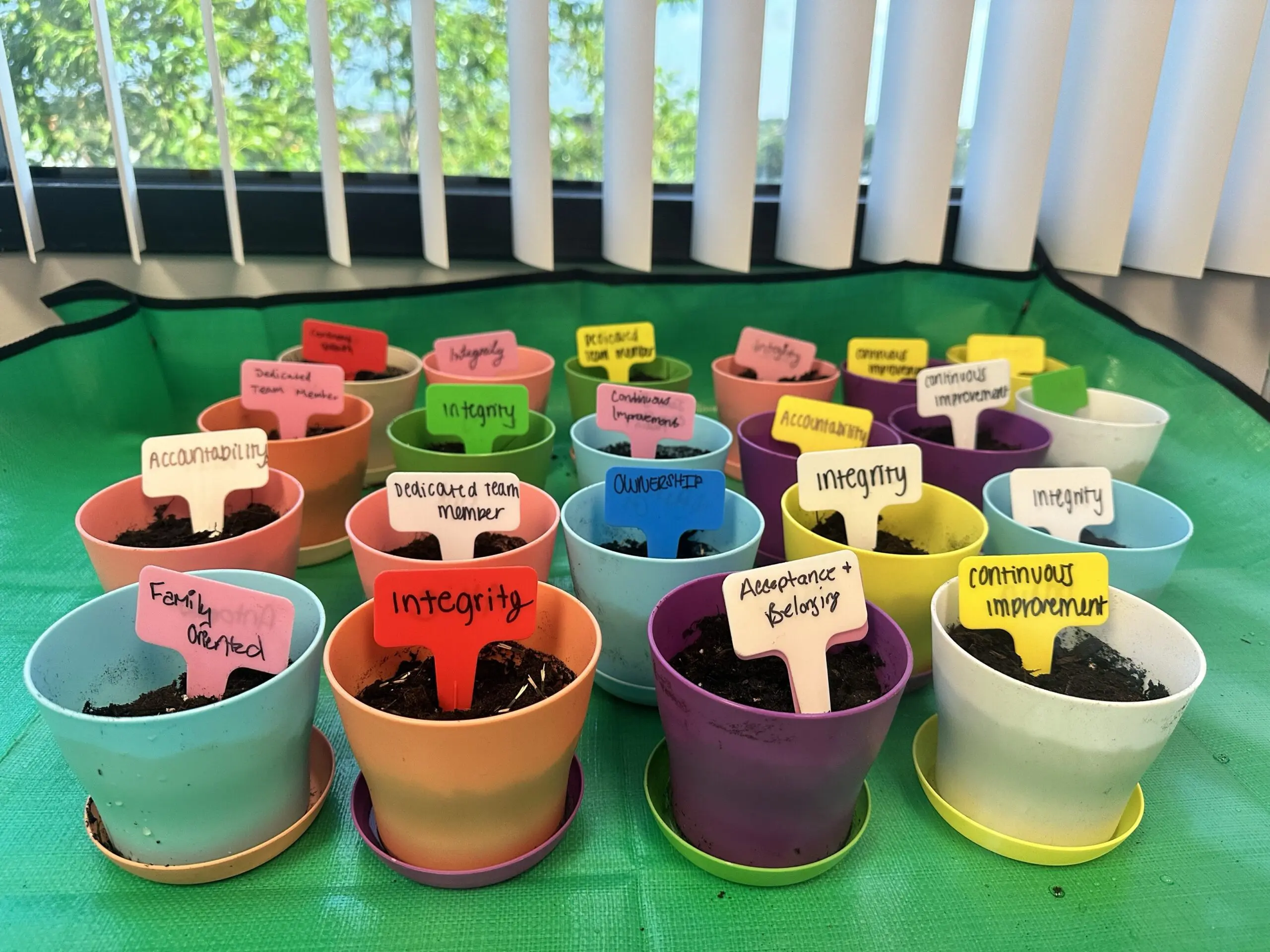 Colorfull Pots on Green Carpet