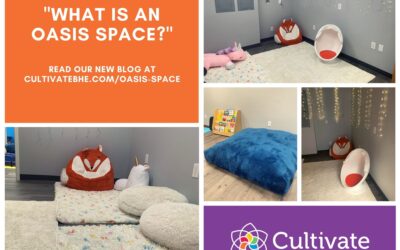 What is an Oasis Space?