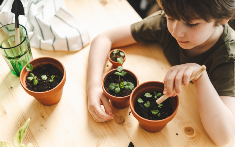 seed planting for autism support